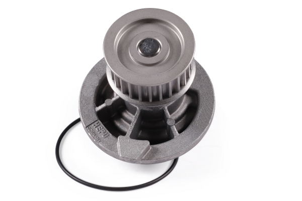 Pompa acqua - P316 HEPU